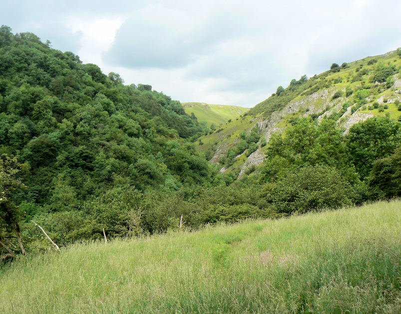 Hall Dale Hall Dale